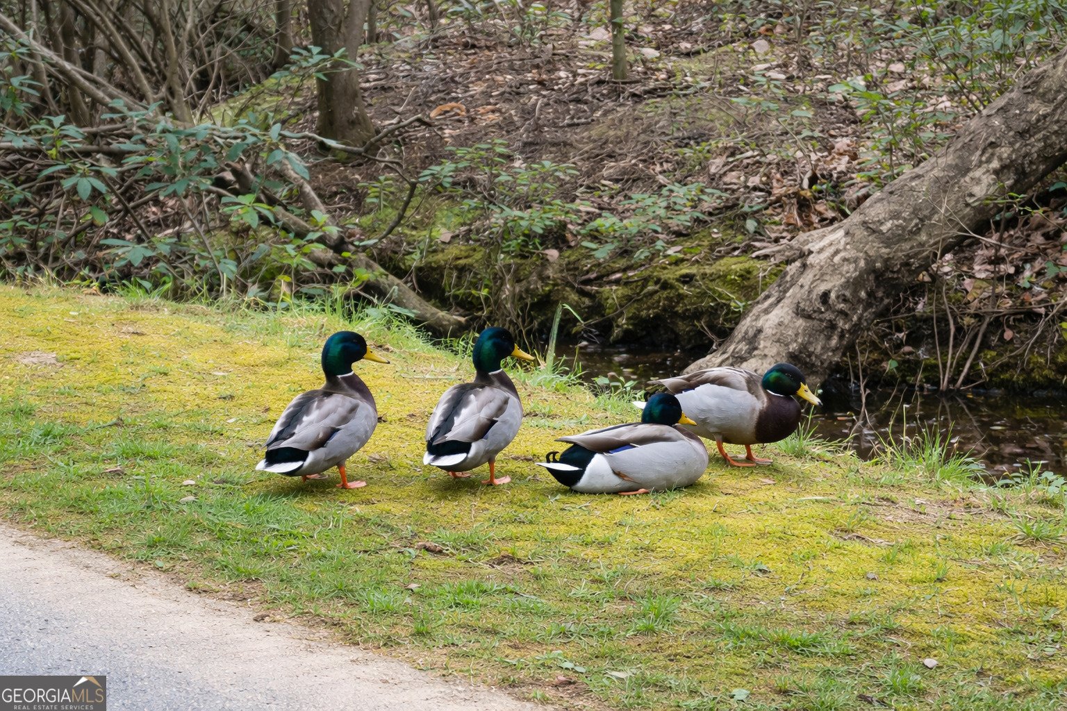 4 Evergreen Trail Cleveland - Photo 20