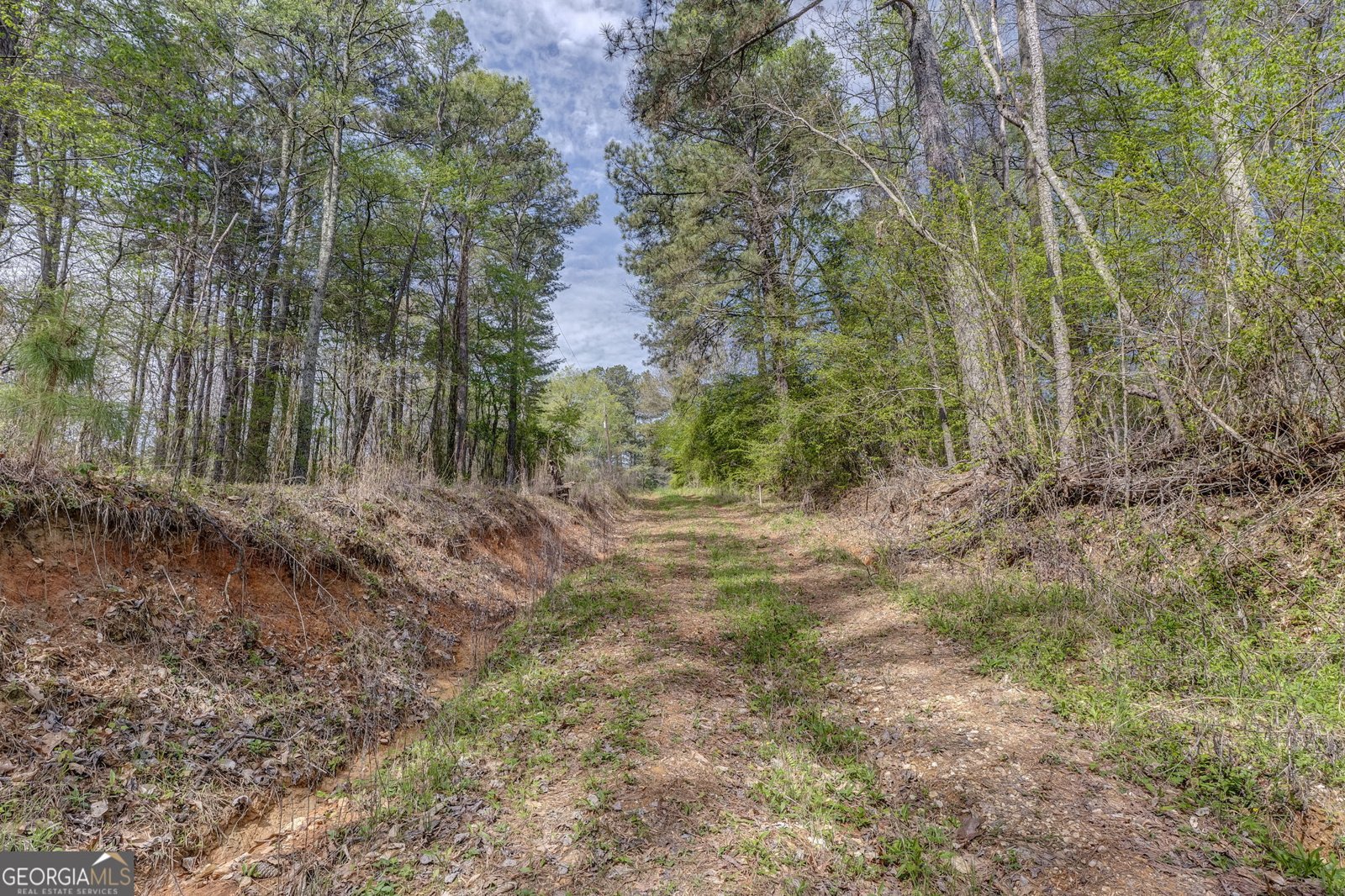 3585 Old Highway 100 Tallapoosa - Photo 6