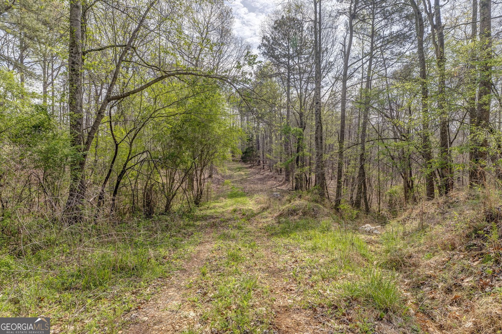 3585 Old Highway 100 Tallapoosa - Photo 7