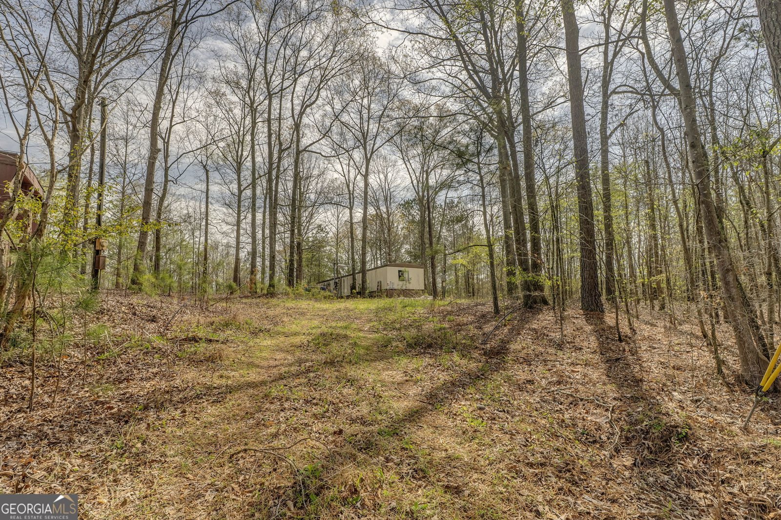 3585 Old Highway 100 Tallapoosa - Photo 8