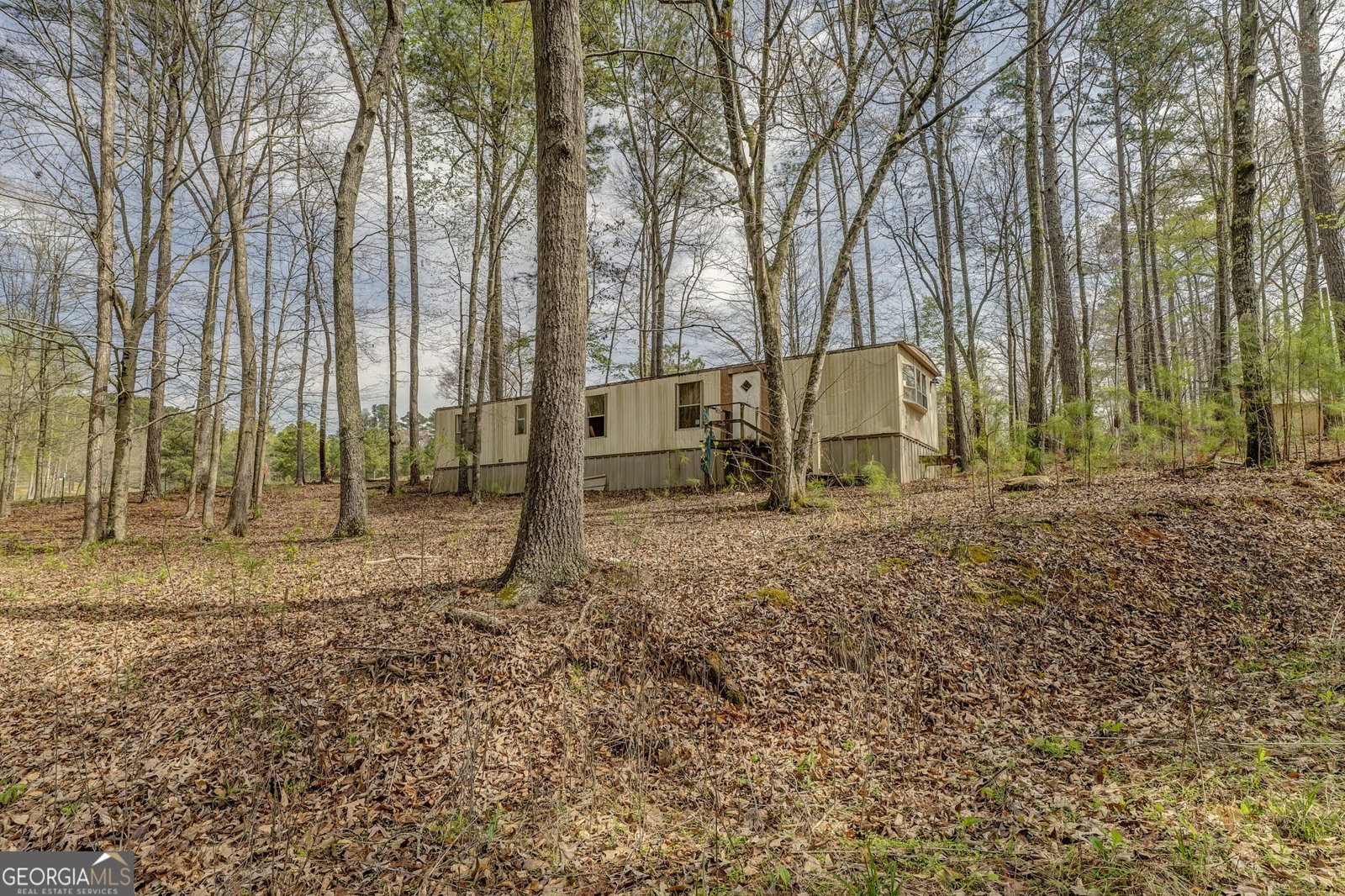 3585 Old Highway 100 Tallapoosa - Photo 9