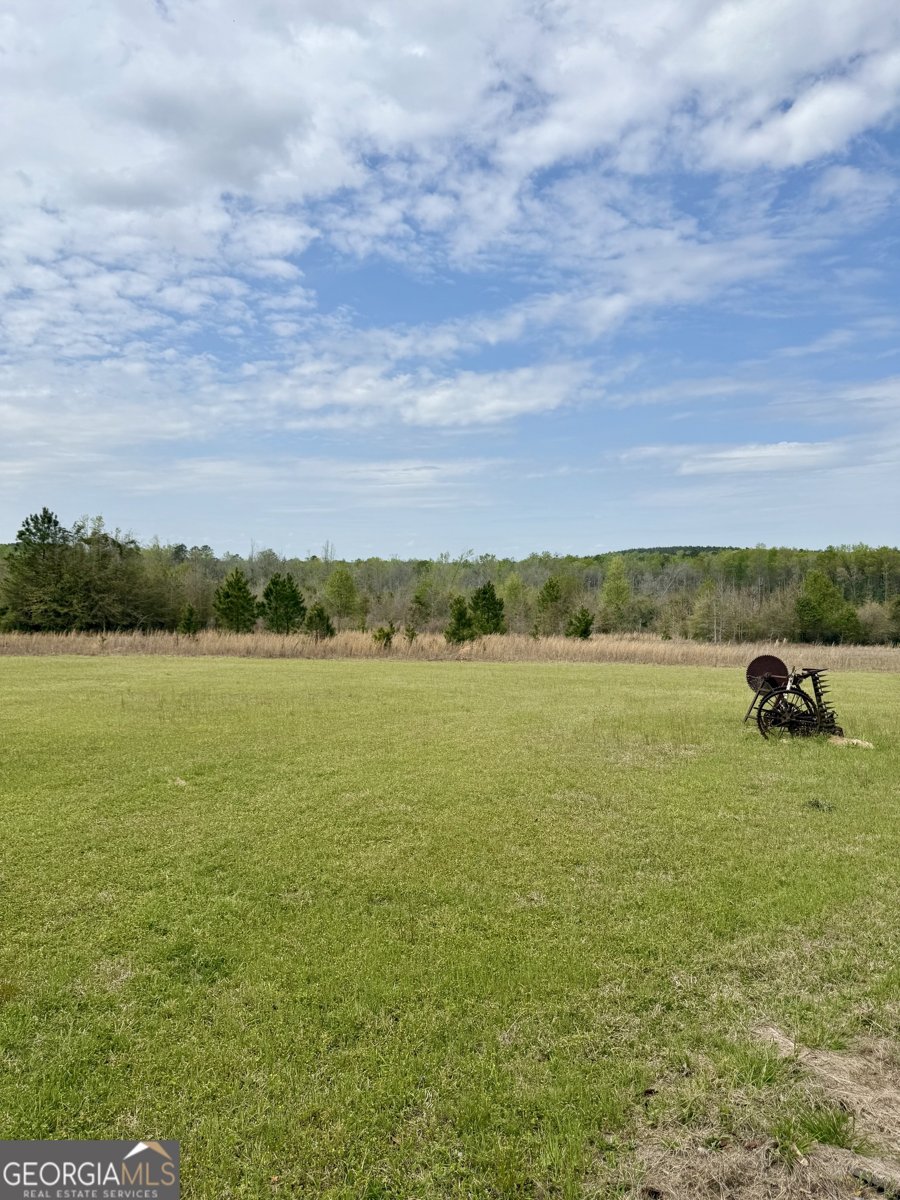 2235 Long Branch Road Toomsboro - Photo 15