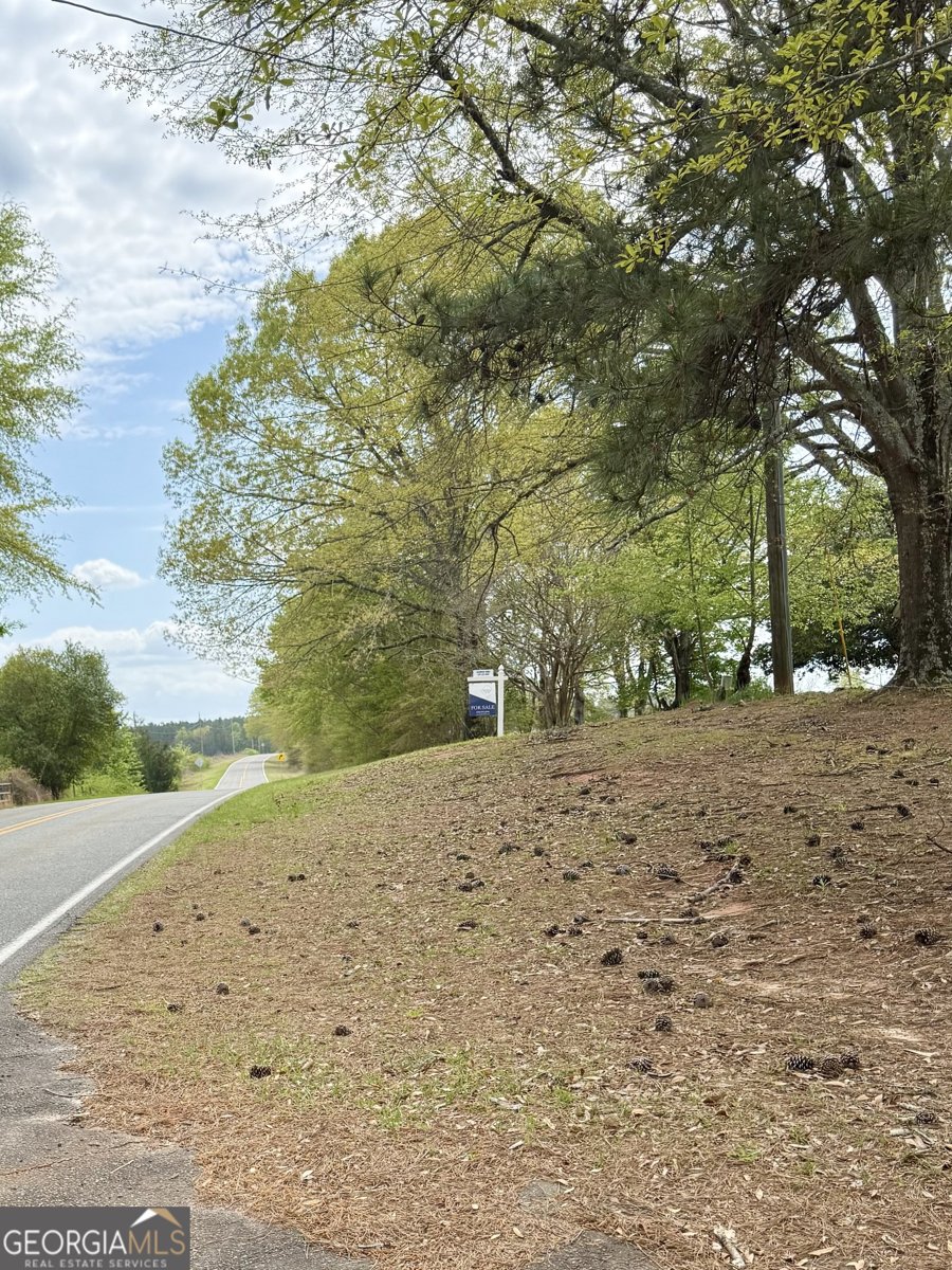 2235 Long Branch Road Toomsboro - Photo 16