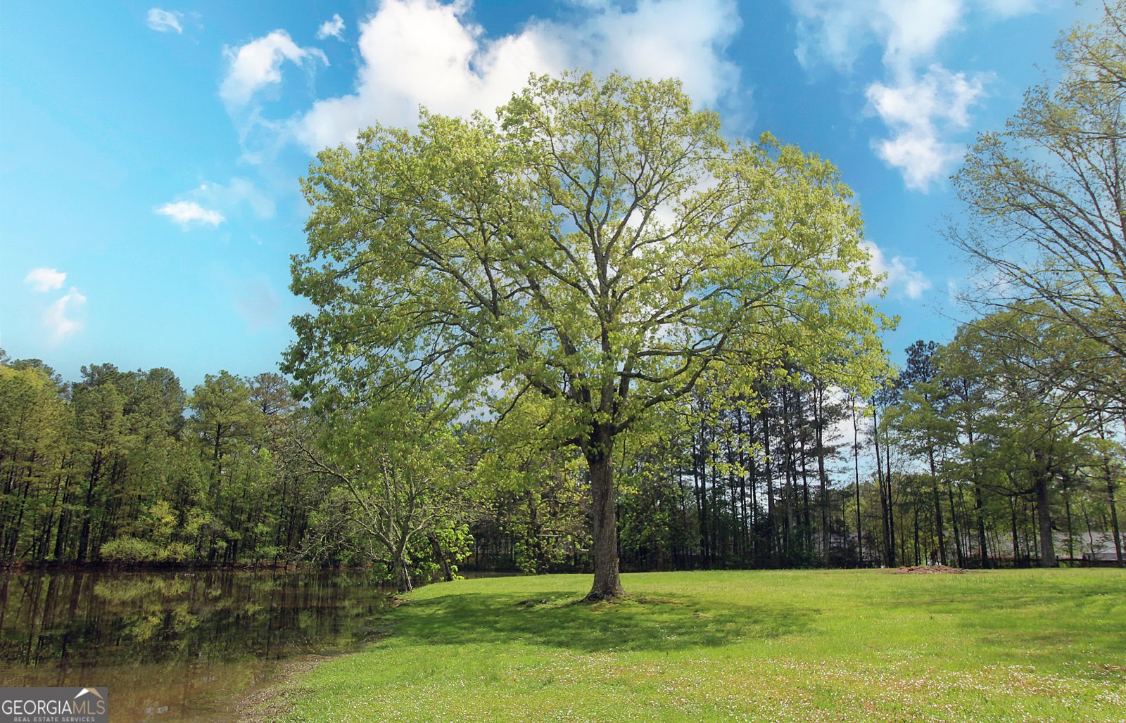 1792 Old Summerville Road Rome - Photo 83