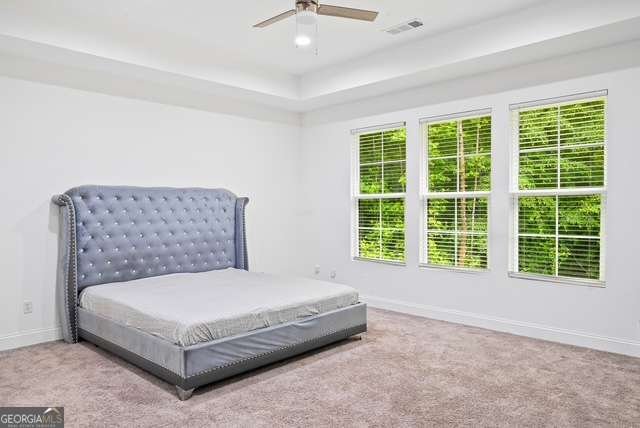 5264 Prestley Crossing Lane Douglasville - Photo 19