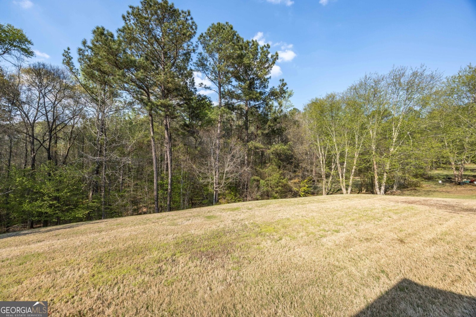 7014 Bridgemill Drive Columbus - Photo 8