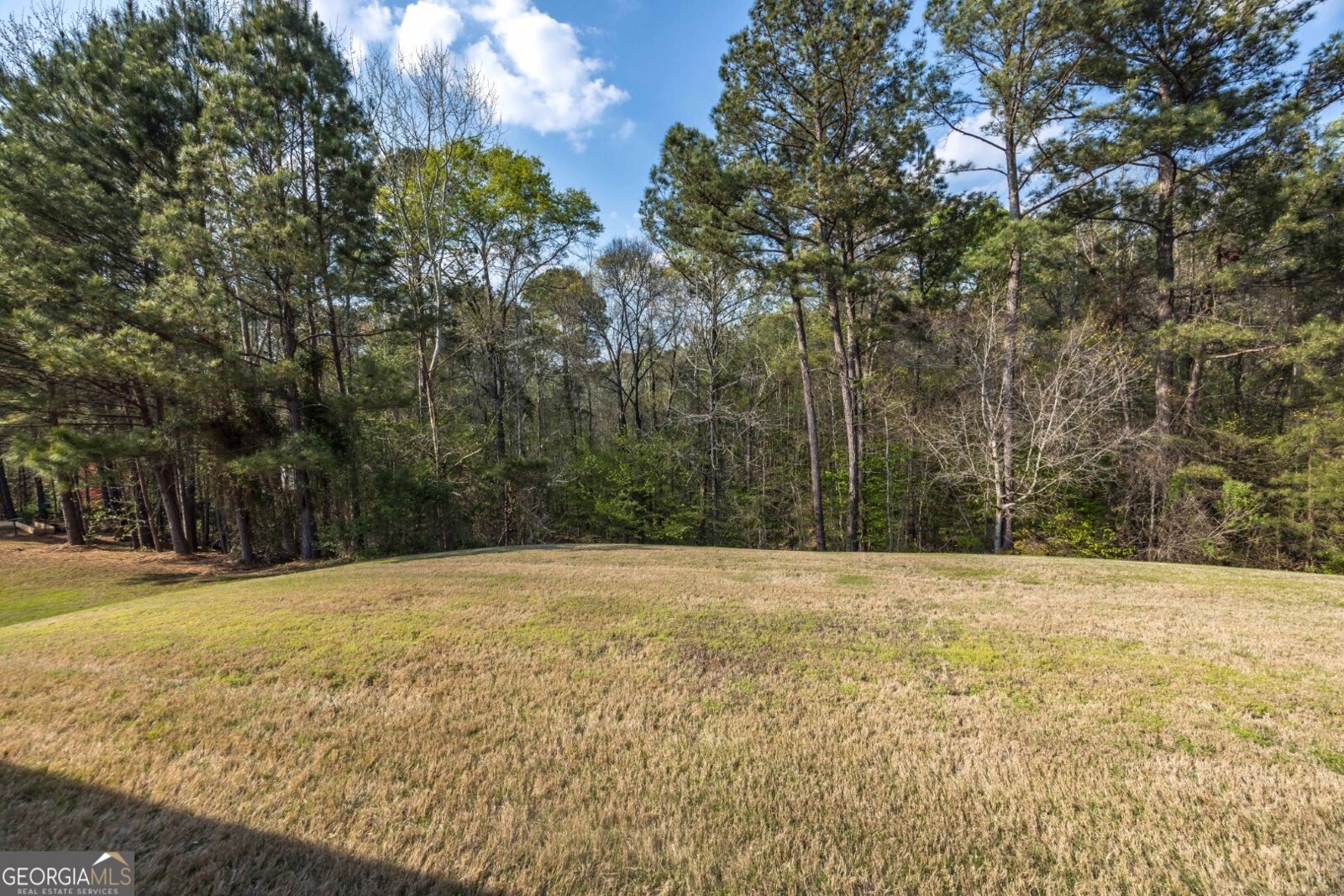 7014 Bridgemill Drive Columbus - Photo 9