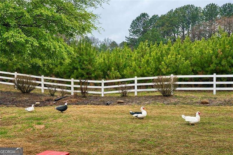 3350 Old Thompson Mill Road Buford - Photo 9