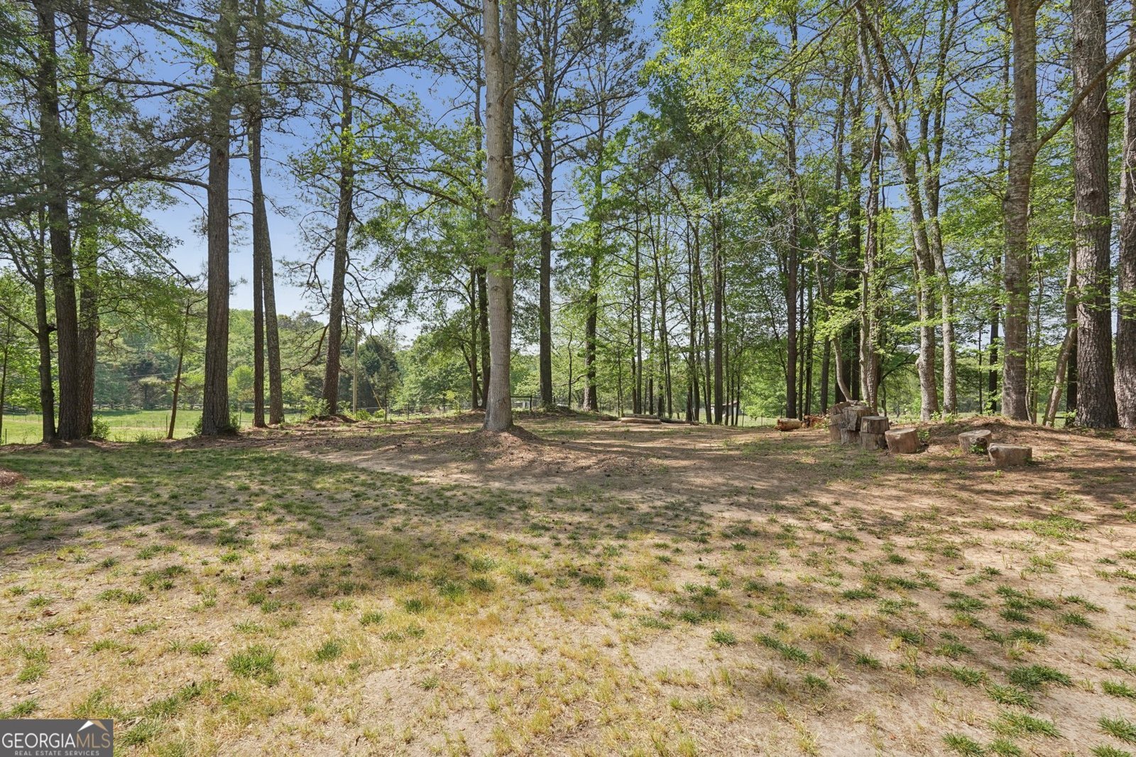 1515 Mount Carmel Road Newnan - Photo 57