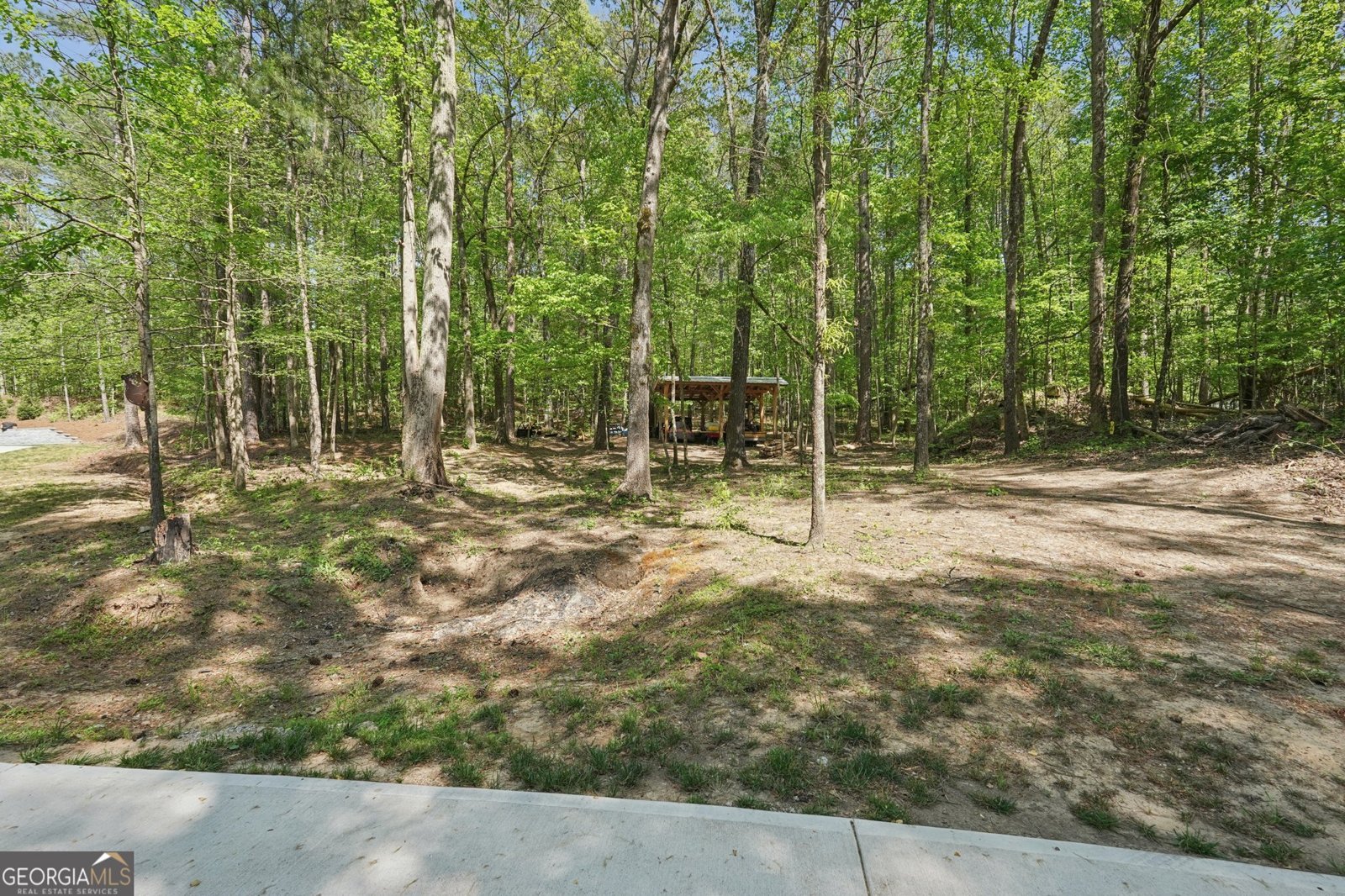 1515 Mount Carmel Road Newnan - Photo 66