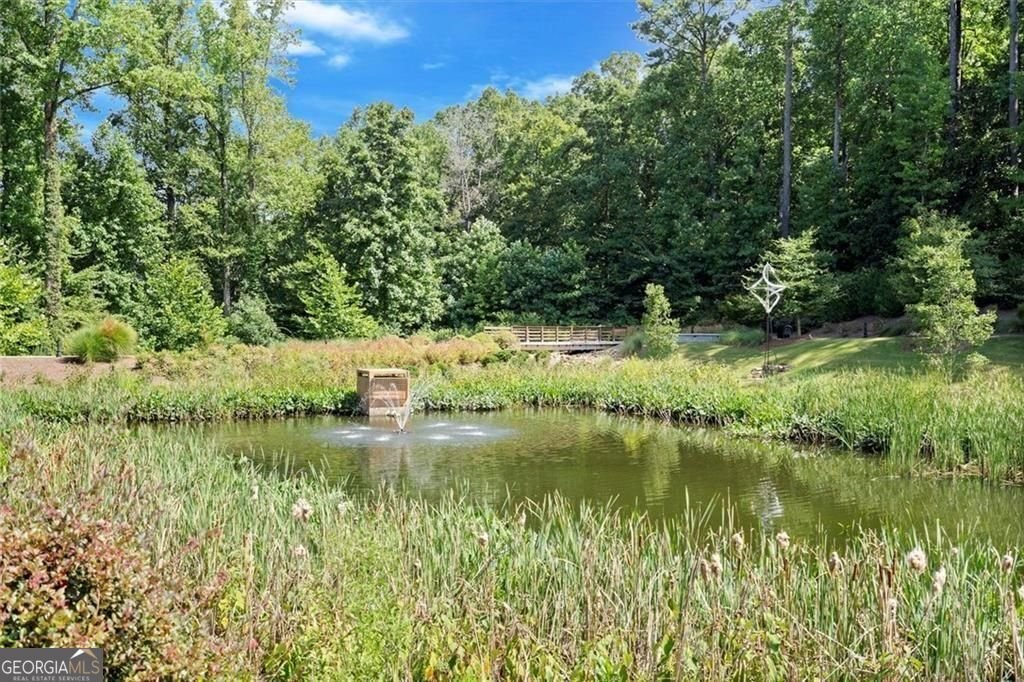 293 Thompson Street Alpharetta - Photo 63