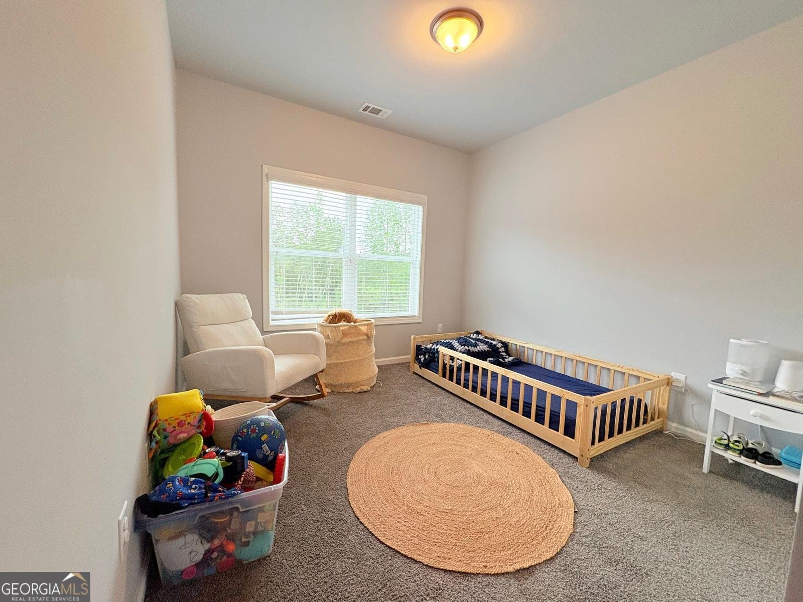 3029 Highway 17 Clarkesville - Photo 13