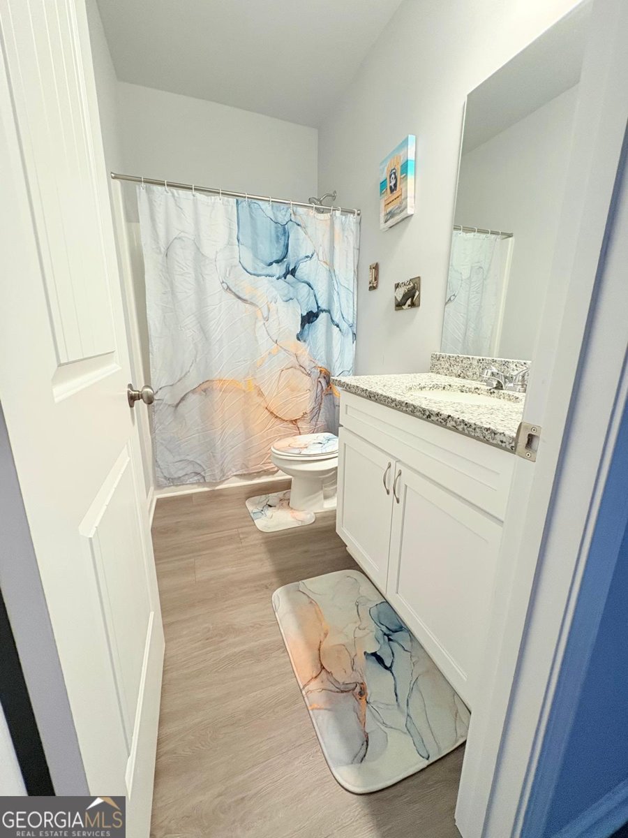 3029 Highway 17 Clarkesville - Photo 17