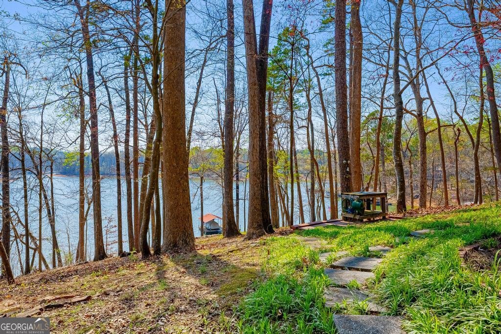 997 Rue Fleur de Lis Lavonia - Photo 30