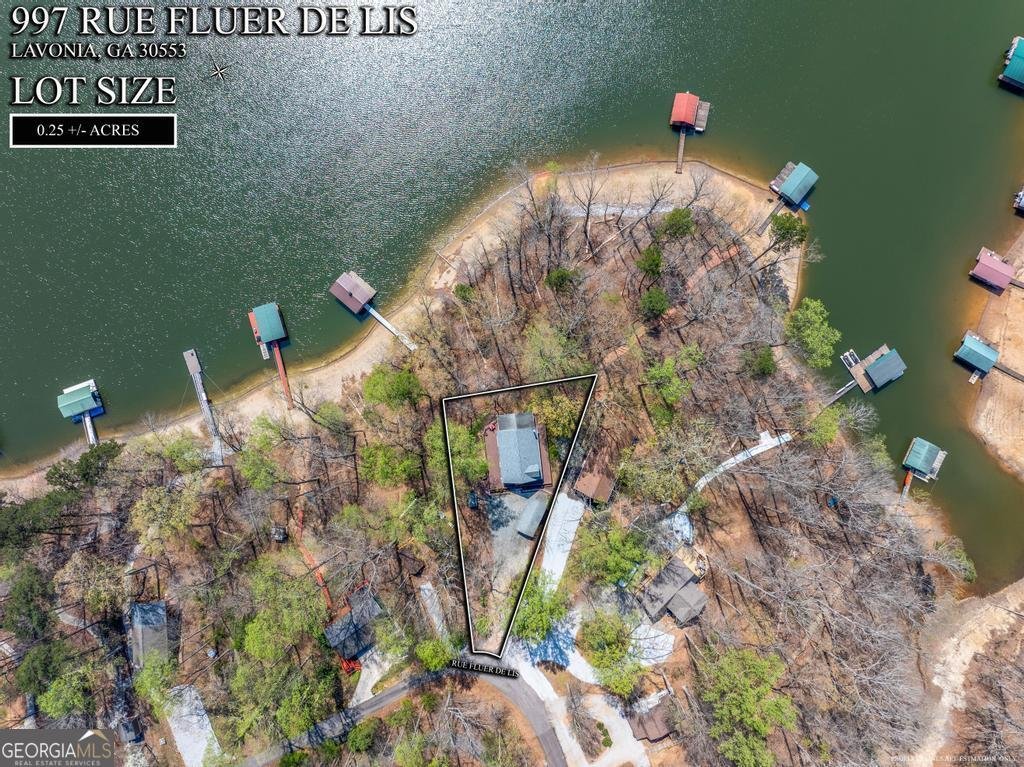 997 Rue Fleur de Lis Lavonia - Photo 36