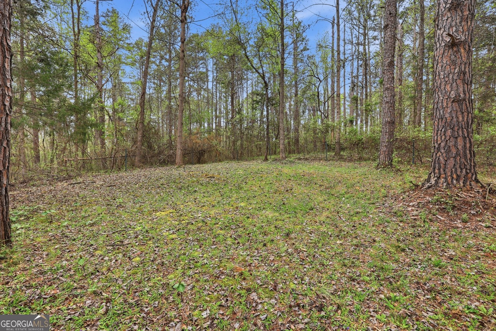 2533 McFarlin Bridge Road Carnesville - Photo 31