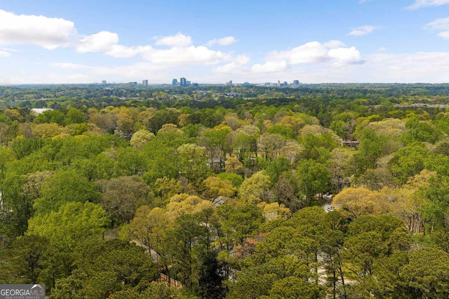 4455 Haverstraw Drive Atlanta - Photo 75