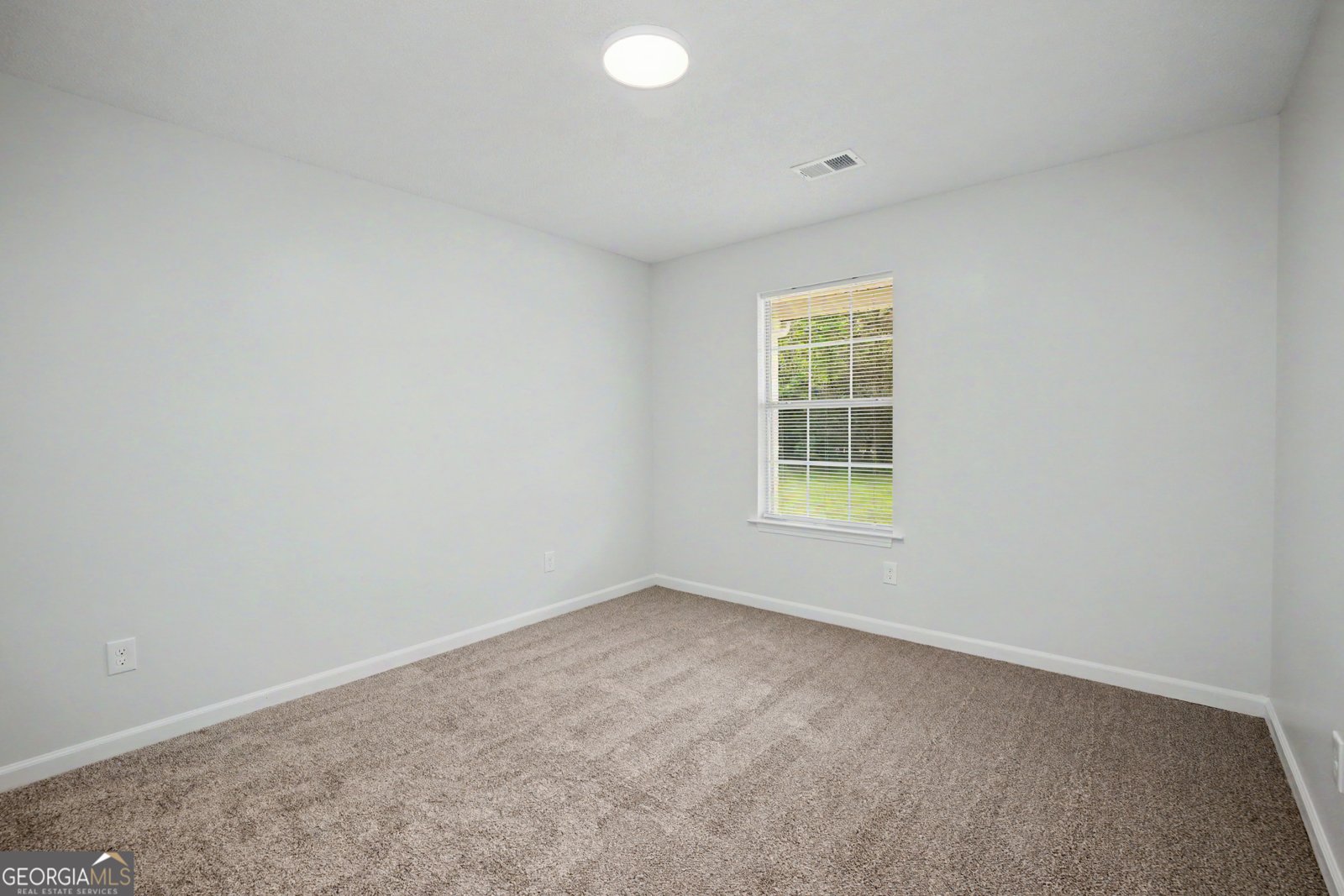 613 Coan Drive Locust Grove - Photo 23