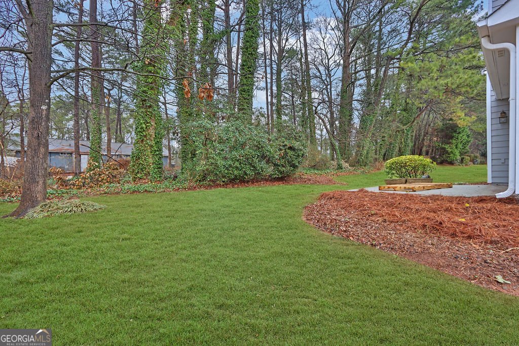 3095 Dunlin Lake Way Lawrenceville - Photo 44
