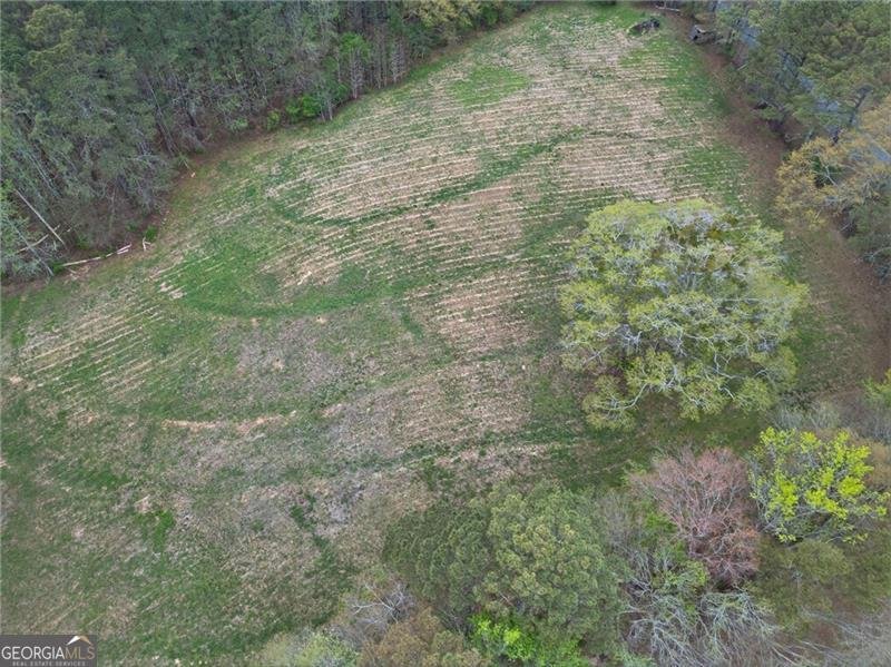 3590 Roosterville Road Roopville - Photo 59