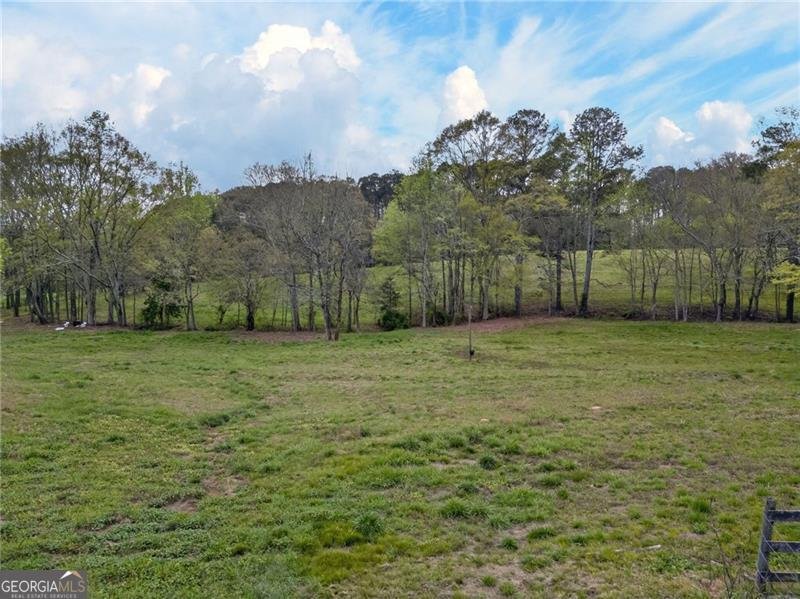 3590 Roosterville Road Roopville - Photo 64