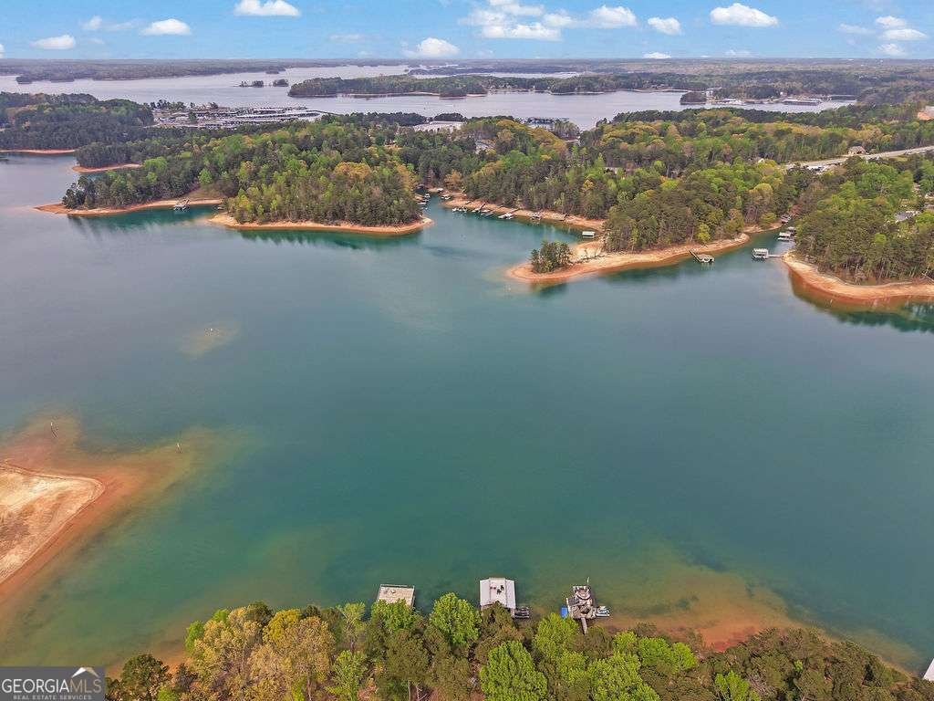 6093 Shadburn Ferry Road Buford - Photo 66