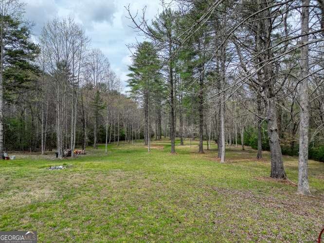 407 Highland Trace Blairsville - Photo 52