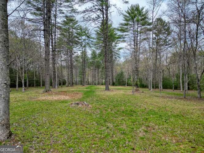 407 Highland Trace Blairsville - Photo 53