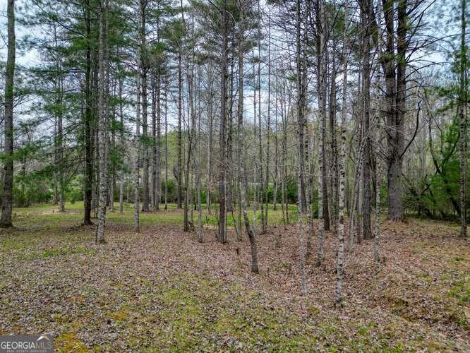 407 Highland Trace Blairsville - Photo 54