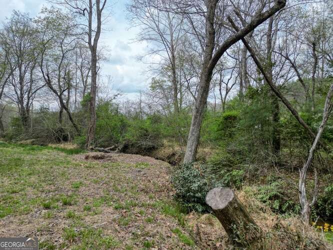 407 Highland Trace Blairsville - Photo 55