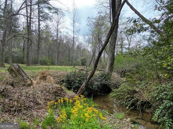 407 Highland Trace Blairsville - Photo 56