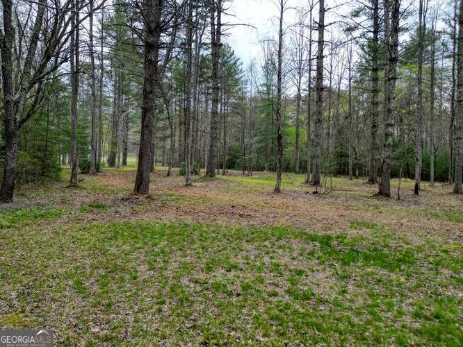 407 Highland Trace Blairsville - Photo 57