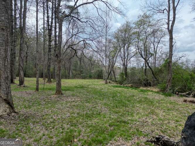 407 Highland Trace Blairsville - Photo 58