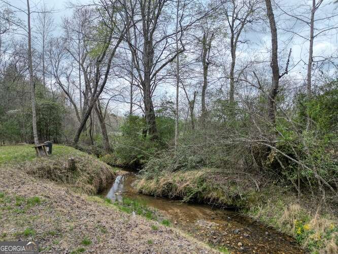 407 Highland Trace Blairsville - Photo 59