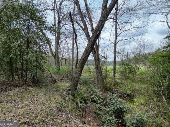 407 Highland Trace Blairsville - Photo 60