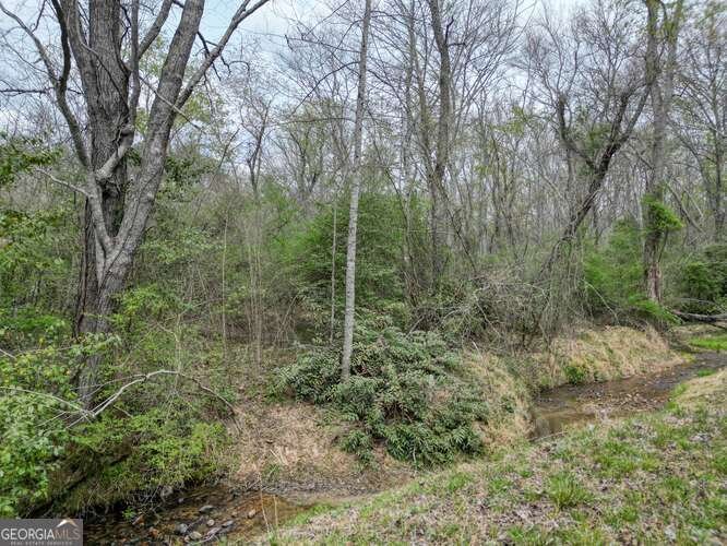 407 Highland Trace Blairsville - Photo 61