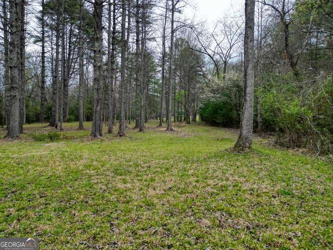 407 Highland Trace Blairsville - Photo 62