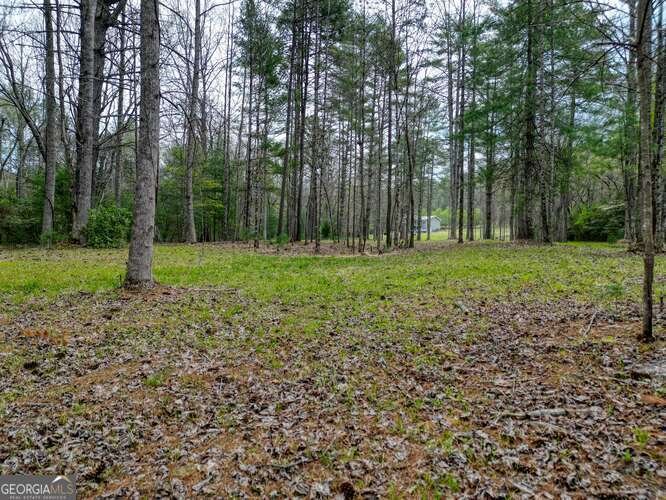 407 Highland Trace Blairsville - Photo 63