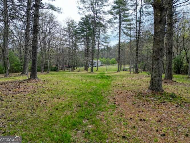 407 Highland Trace Blairsville - Photo 64