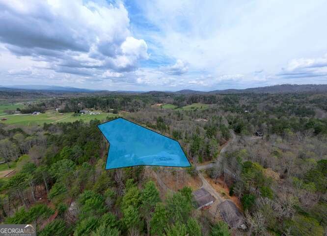 407 Highland Trace Blairsville - Photo 71