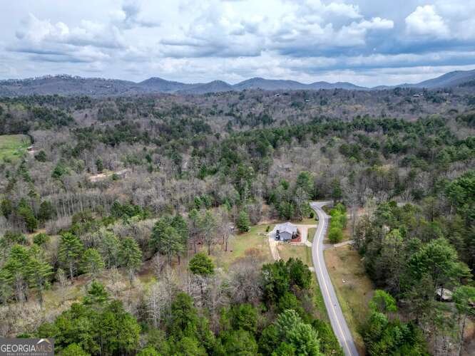 407 Highland Trace Blairsville - Photo 73