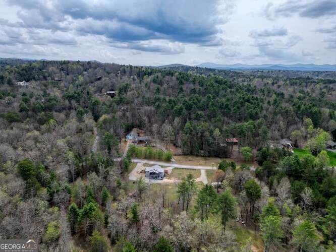 407 Highland Trace Blairsville - Photo 74