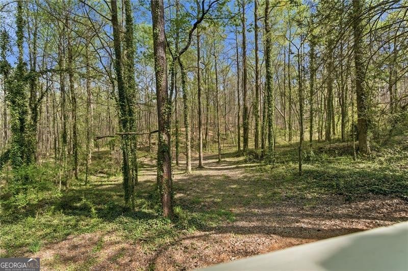 181 Pinecone Lane Canton - Photo 31