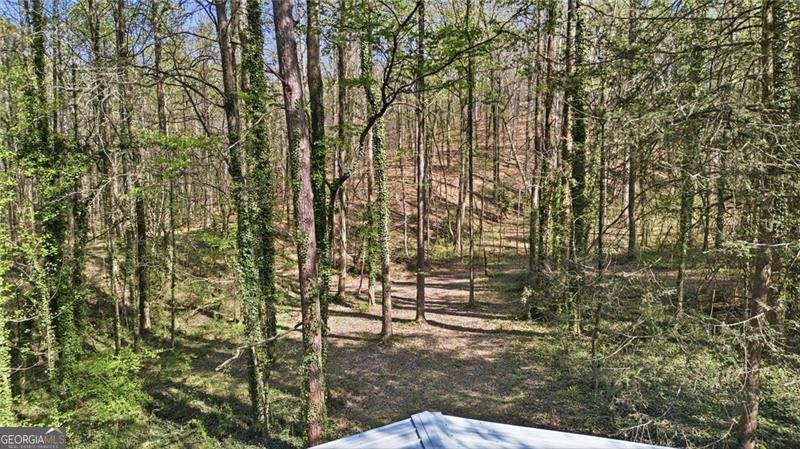 181 Pinecone Lane Canton - Photo 32