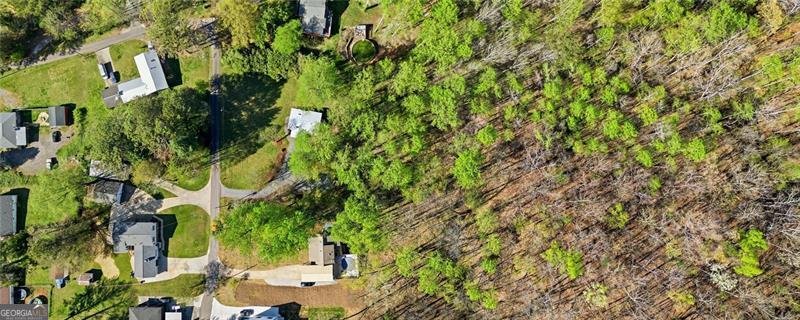 181 Pinecone Lane Canton - Photo 35