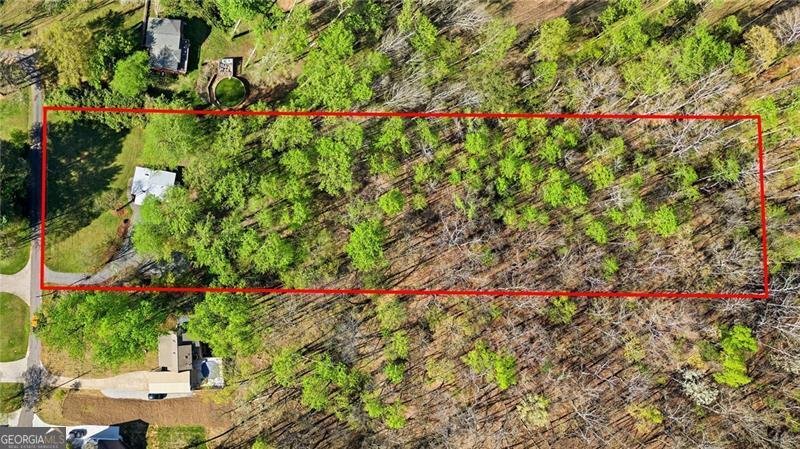 181 Pinecone Lane Canton - Photo 36