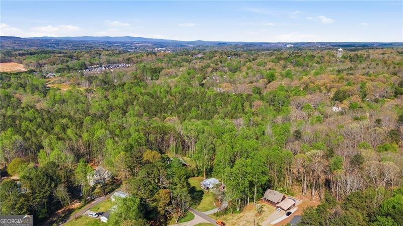 181 Pinecone Lane Canton - Photo 38