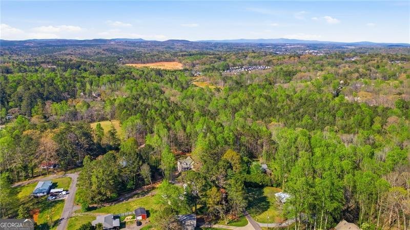 181 Pinecone Lane Canton - Photo 39