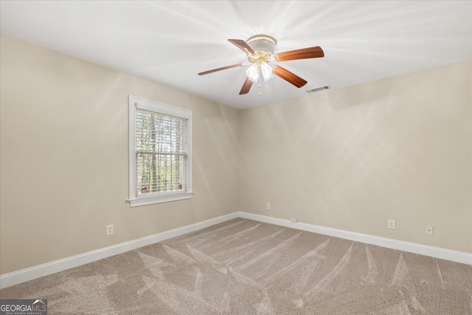115 Nugget Road Carrollton - Photo 31