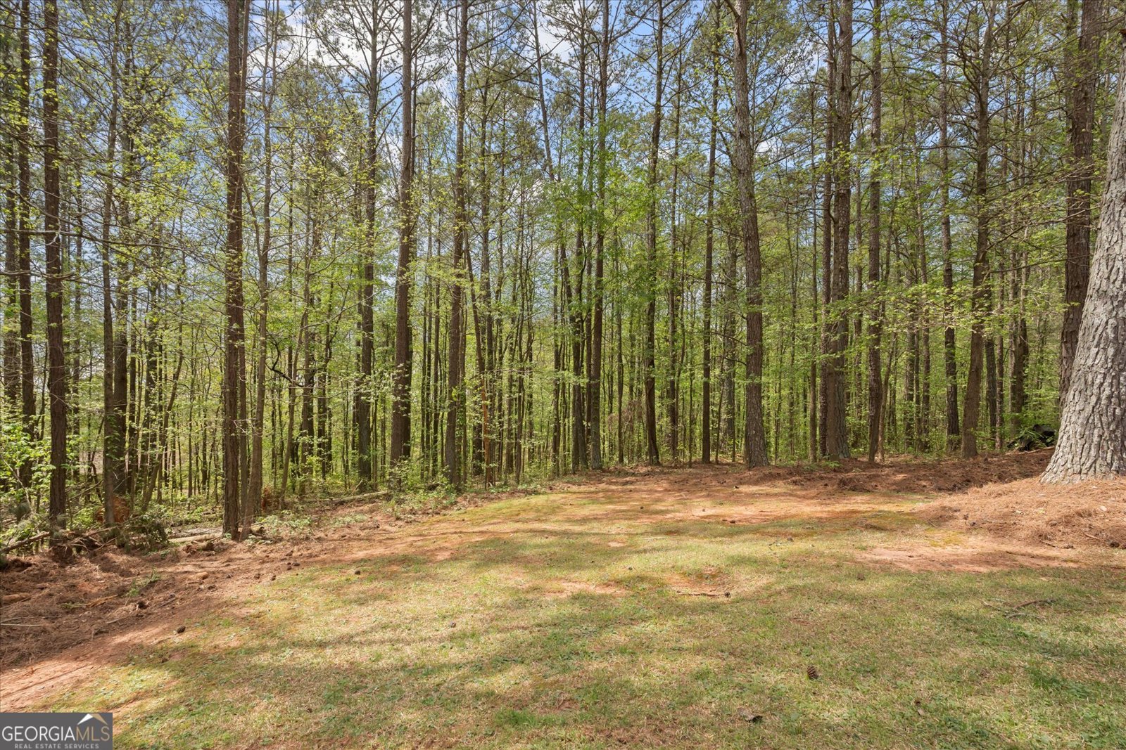 115 Nugget Road Carrollton - Photo 6